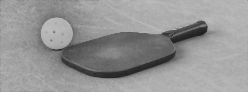 A1 Pickleball